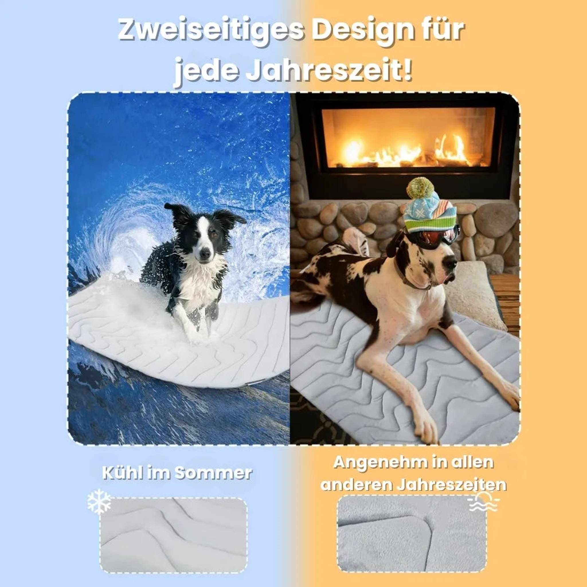 Sicher und komfortabel für sensible Hunde