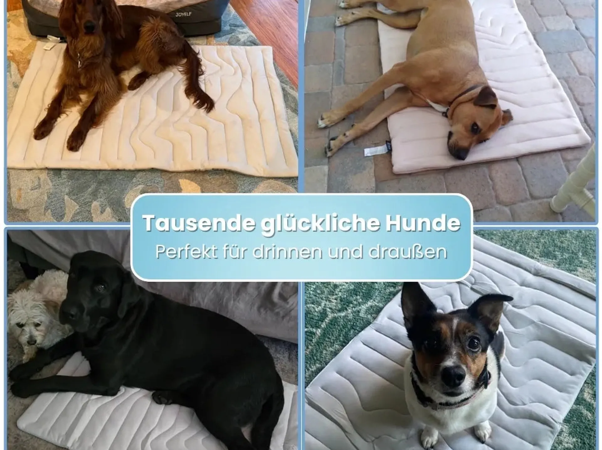 Langlebigkeit, die den Preis rechtfertigt